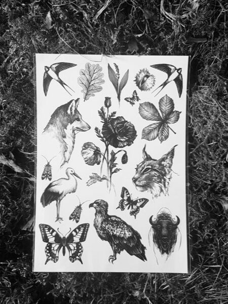 Temporary tattoos - flora and fauna