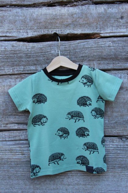 Children's T-shirt-Hedgehog-Light green