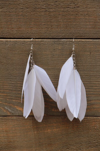 Spalvu auskari Balti