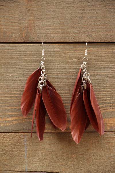 Spalvu auskari Sārti