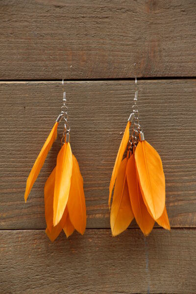 Spalvu auskari Oranži