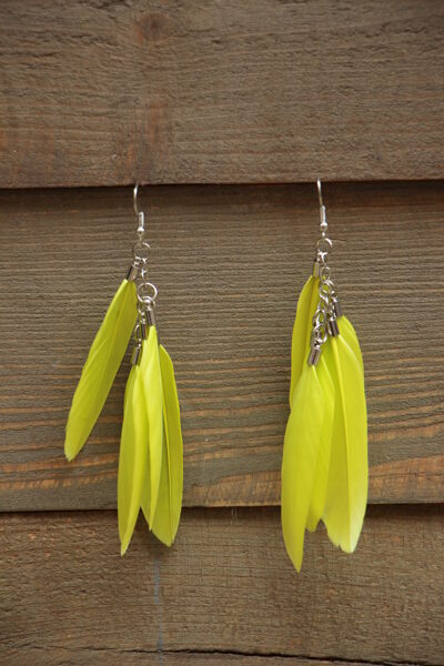 Spalvu auskari Dzelteni