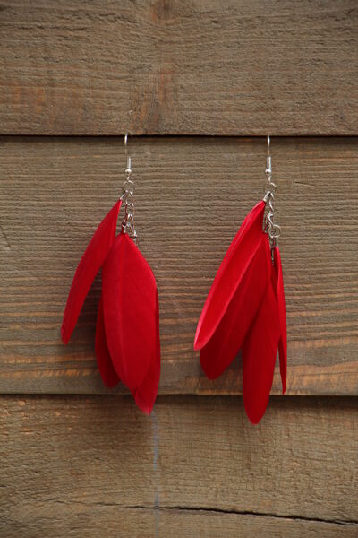 Spalvu auskari Sarkani