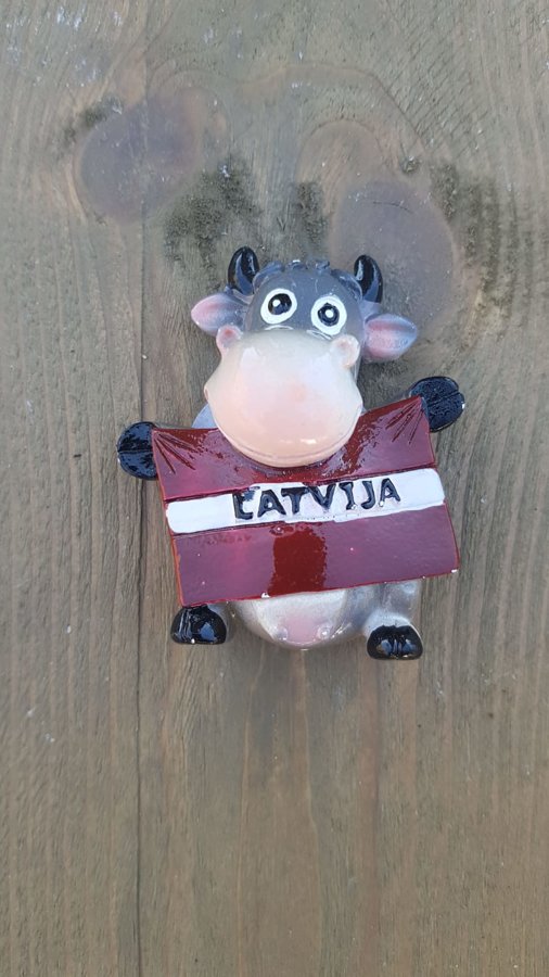  Souvenir - magnet "Latvian blue cow"
