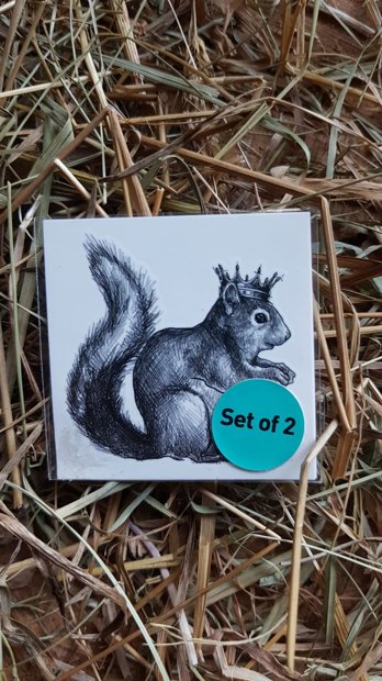 Temporary tattoo set of two Squirrel