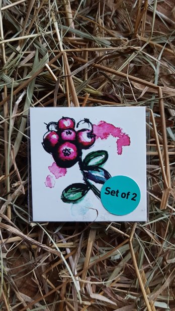 Īslaicīgo tetovējumu komplekts Dzērvenes