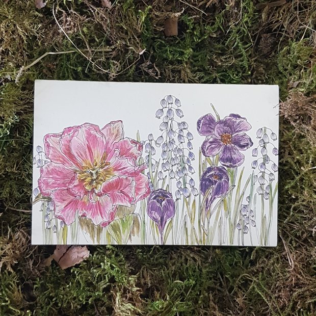 Apsveikuma kartiņa Vasaras ziedi